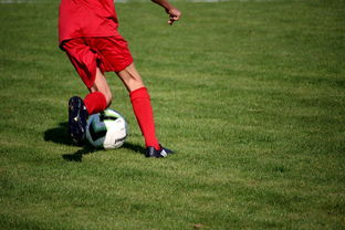 米兰体育app-基层足球赛事体系未形成闭环，足球联赛实施方案  第2张